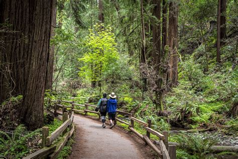The Best Hiking Trails In The Bay Area