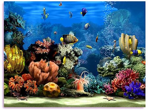 Free Download Animated Fish Aquarium Screensaver Living Marine Aquarium 2 578x435 For Your