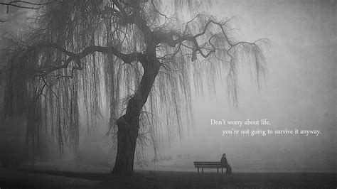 Quotes Bench Lonely Grayscale Lakes Wallpapers Hd
