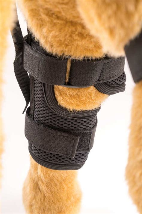Adjustable Orthopedic Braces For Dogs Ortho Dog