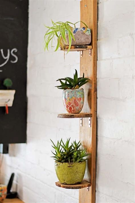 How To Make Diy Plant Shelves Using Wood Slices Pillar Box Blue