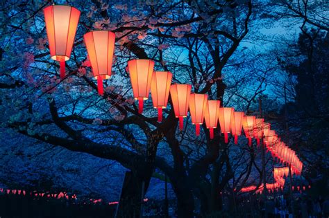 Pin By Salawin Chanthapan On My Portfolio Hanami Ueno Park Cherry