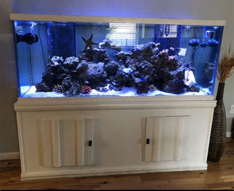 250 Gallon Saltwater Fish Tank For Sale In Hollywood Fl Offerup