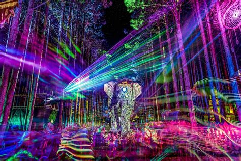 Electric Forest Weekend 1 Review God Bless The Forest Hedonist