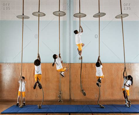 A Group Of Children In A Gym Climbing Up The Ropes Stock Photo Offset