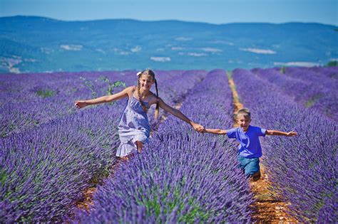 Fonds Decran Champ Lavande Deux Garçon Petites Filles Joie Enfants