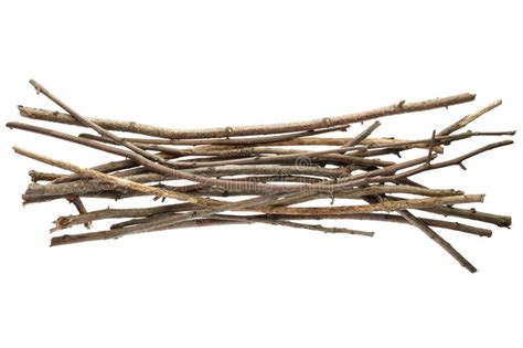 Dry Twigs Stock Image Image Of Wood Texture Safe Energy 34523871