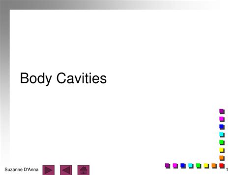 Ppt Body Cavities Powerpoint Presentation Free Download Id9359543