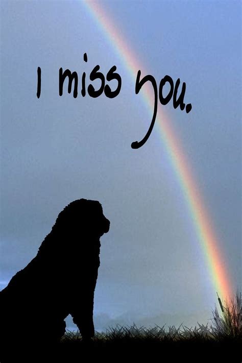 Pin On Pet Loss Rainbow Bridge