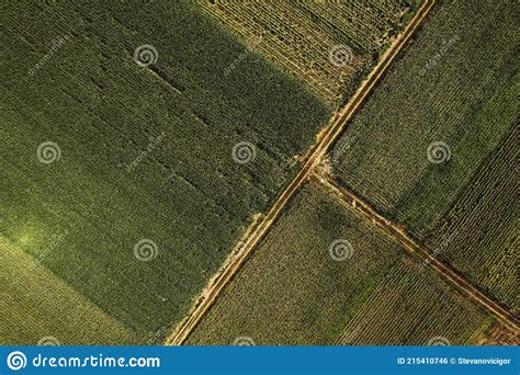 Top Down Aerial View Of Dirt Road Through Cultivated Fields Stock Photo
