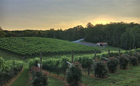 Potomac Point Winery Sunset Stafford Virginia Aguilas2011 Flickr