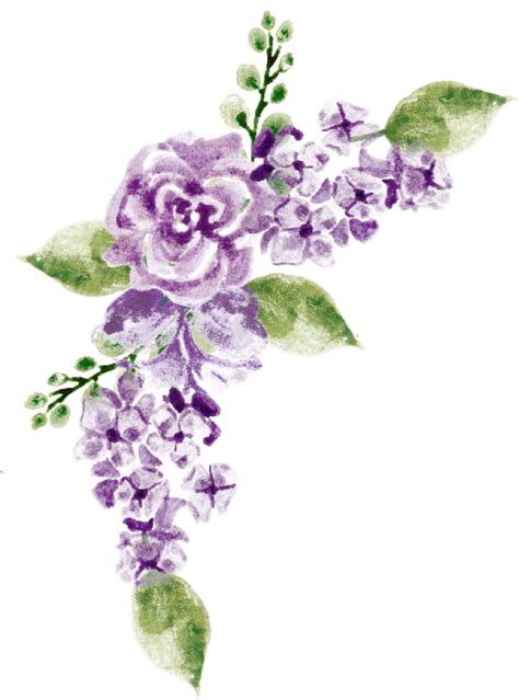 Lavender Purple Flower Png E Ntgreenlife