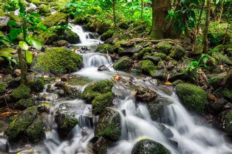 Creek Cascade Long Exposure Shot In Rainforest Of Oahu Island Stock