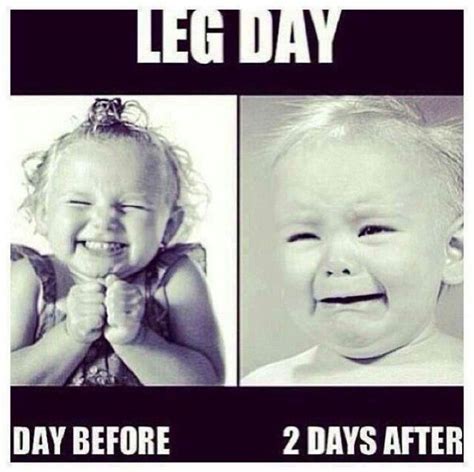Leg Day Gym Humor Workout Memes Fun Workouts