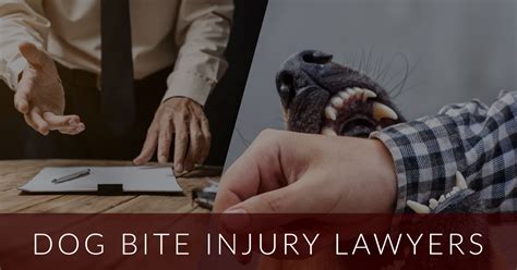 Los Angeles Dog Bite Lawyer Attorneys Settle Your Dog Attack Cases