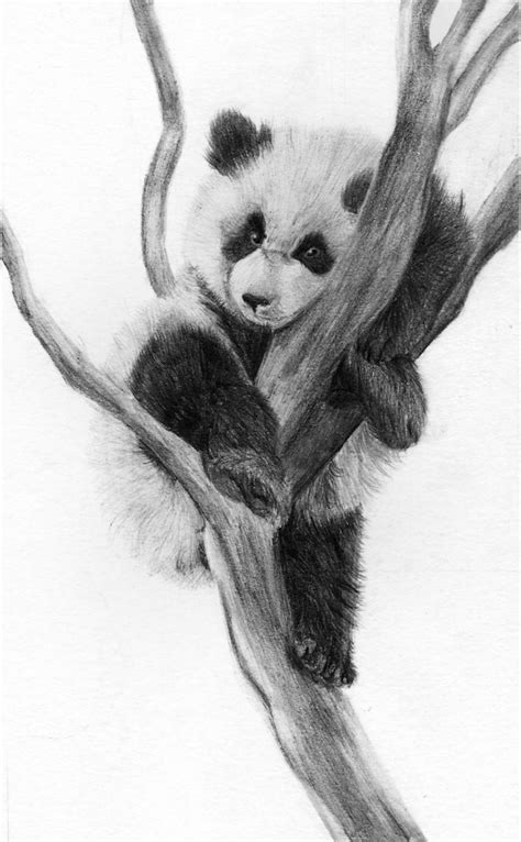 Panda By Rueppells Fox On Deviantart