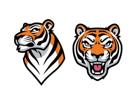 Tiger Vector Graphics By Kyle Petchock On Dribbble