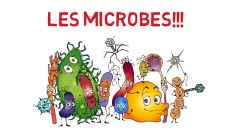 Cours En Ligne Les Microbes Et Vous Youtube