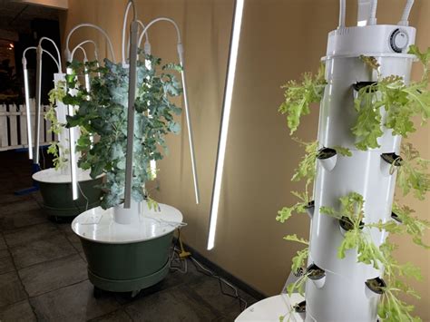 Fulfills Hydroponic Towers Soil Free Indoor Gardening Fulfill Nj