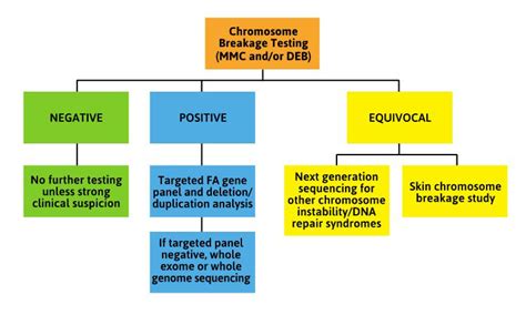 Fanconi Anemia Research Fund