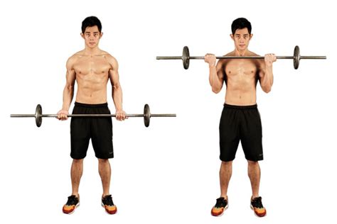 Biceps Barbell Curl Guide In 5 Steps Fast Build Body