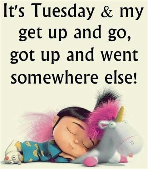 Tuesday is only the beginning of the week. 50+ Amazing Tuesday Morning Funny Quotes & Images