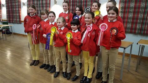 Quiz And Horse And Pony Care Competitions Angus