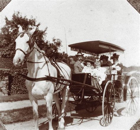 Horse Drawn Carriage C 1900 My Grandmother As A Young Chil Flickr