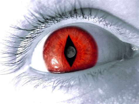 Eye Wallpaper And Background Image 1600x1200 Id267145