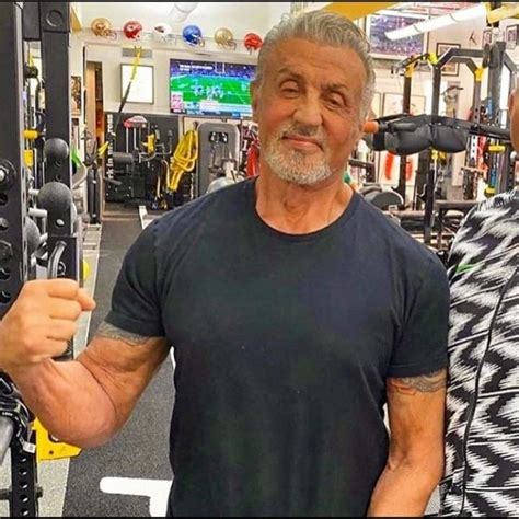 Misterio Revelado As Hace Sylvester Stallone Para Mantener Su