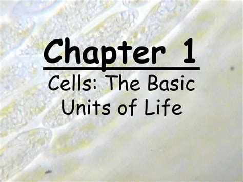 Ppt Chapter 1 Cells The Basic Units Of Life Powerpoint Presentation