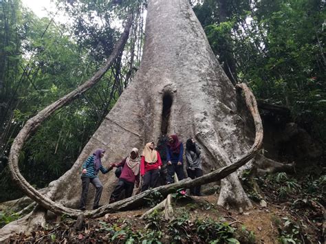 Soliloquy Pokok Tiga Beradik UUM