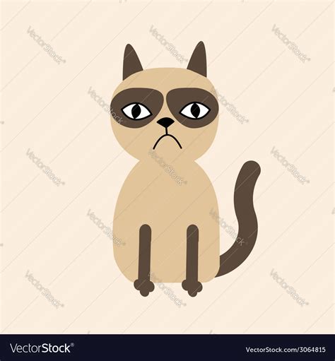 Siamese Cat Grumpy Best Cat Wallpaper