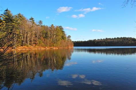 A New Guide To Walden Pond Wcai