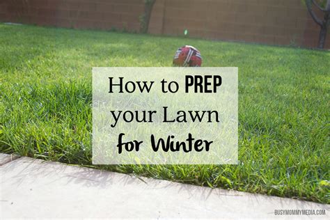 How To Prep Your Lawn For Winter