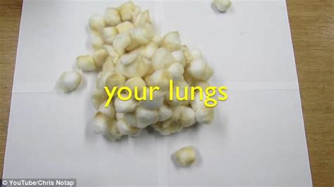 what lungs look like after smoking one pack of cigarettes daily mail online