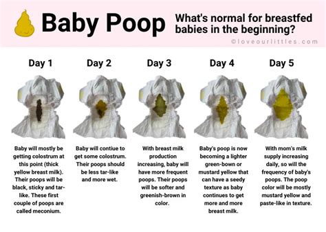 Baby Poop Colors Chart And Pictures Whats Normal Love Our Littles