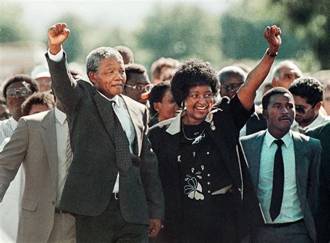 Nelson Mandela And Apartheid Rise And Fall Of Apartheid Examines The