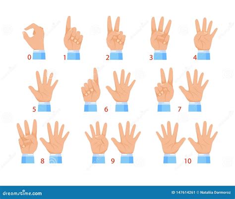 Vector Illustration Of Hands And Numbers By Fingers Human Hand And