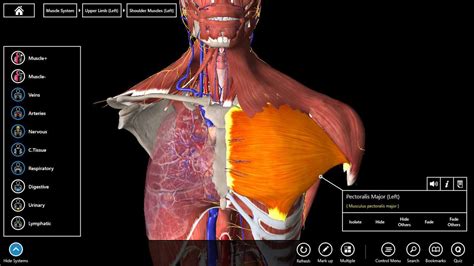 Best Anatomy App And Software For Pc 3d Human Complete