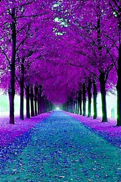 Pin By Bama Chick On Purple Rain Down On Me Beautiful Landscapes