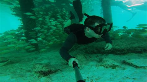 Barcelo Maya Mexico Snorkeling Under The Pier Gopro Hd Youtube