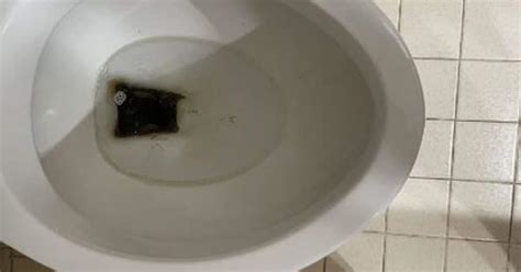 Black Stains In A Toilet Bowl Why How To Remove Them Toilet Haven