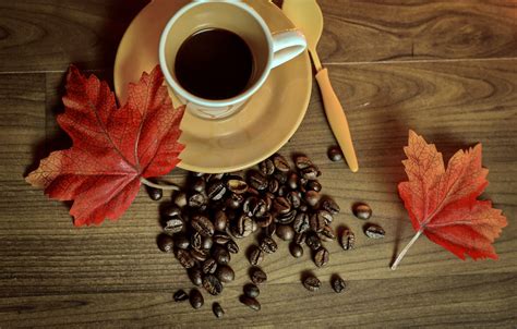 Wallpaper Autumn Coffee Cup Book Autumn Leaves Cup