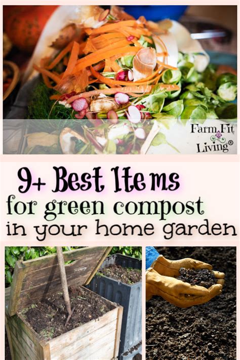 9 Best Items For Green Compost In Your Home Garden Farm Fit Living