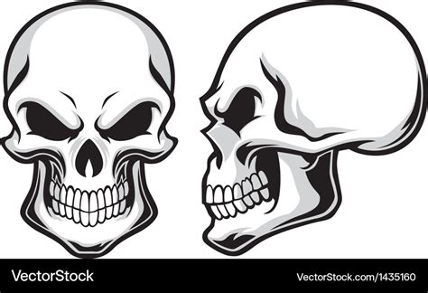 Cartoon Skulls Royalty Free Vector Image Vectorstock