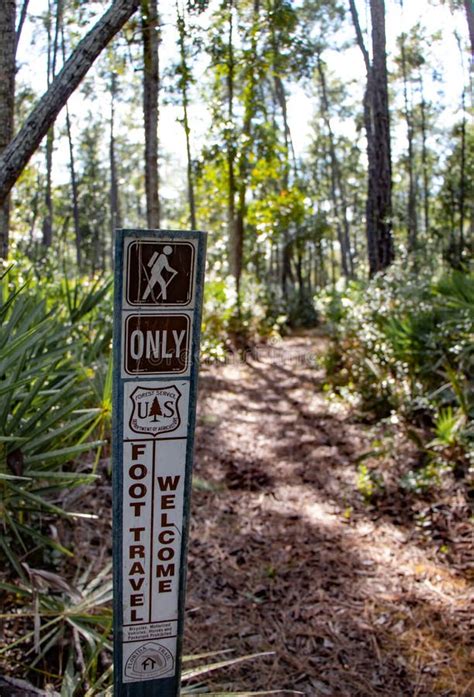 Hiking The Beautiful Trails Of Florida State Parks Stock Photo Image