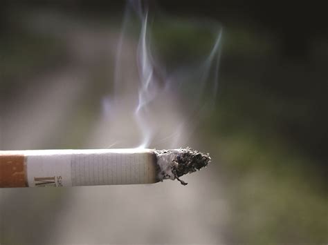 risk of lung cancer increased almost 10 fold among australians smoking as few as daftsex hd