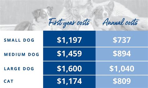 How Much Will Pet Ownership Really Cost You Fulton Bank