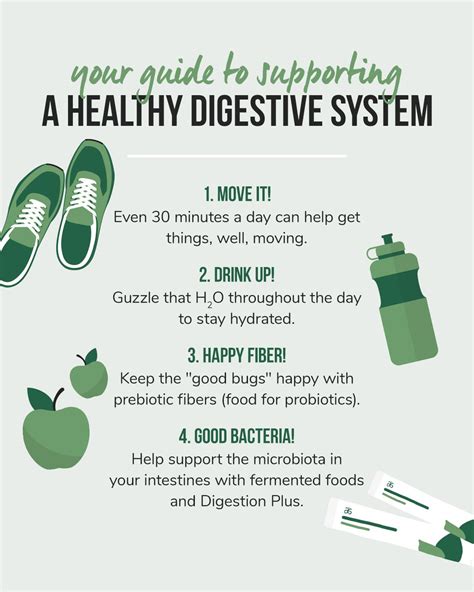 Guide To Supporting A Healthy Digestive System Healthy Digestive